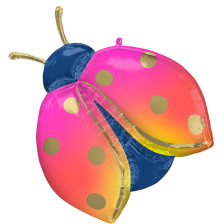 Supershape Colorful Ladybug